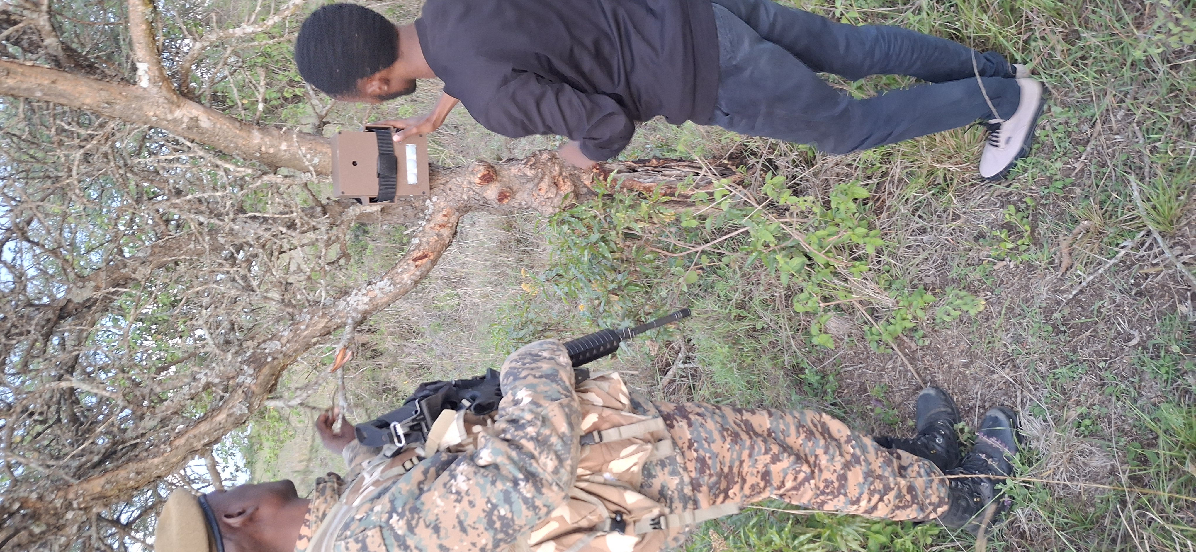 ConservaCam dashboard preview